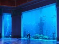 Atlantis - the lost city är hotellets imponerande akvarium med fiskar som hajar och rockor.